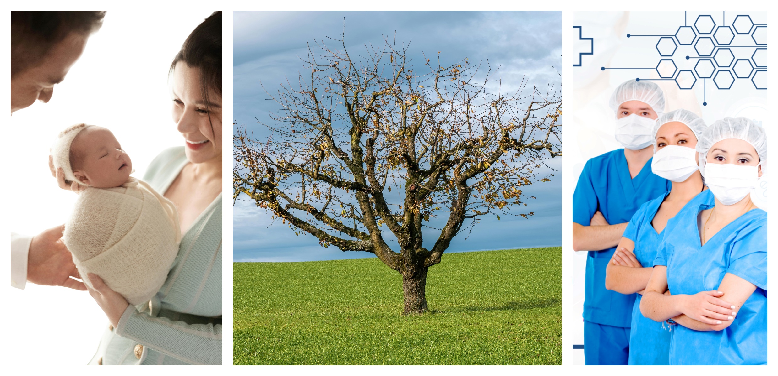 asigurare viață ieftină